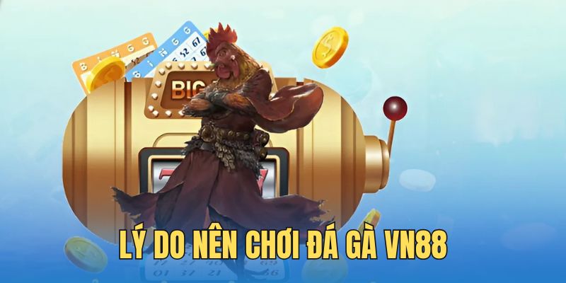 Lý do thuyết phục bạn không nên bỏ lỡ đá gà VN88