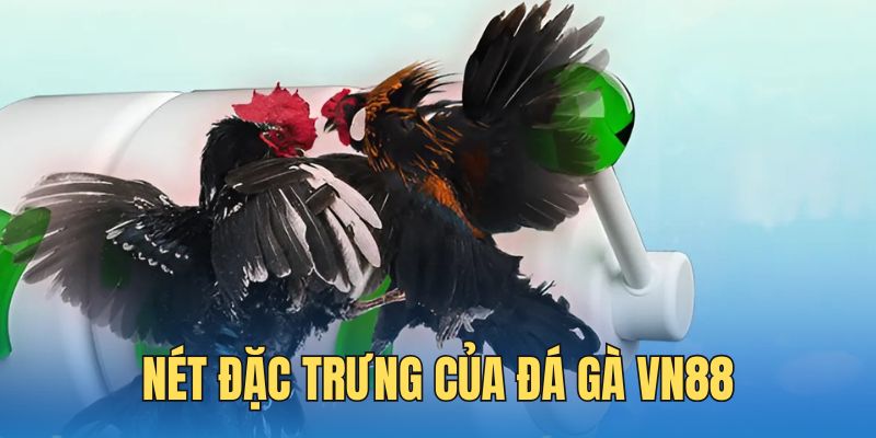 Những đặc trưng chỉ đá gà VN88 mới được sở hữu