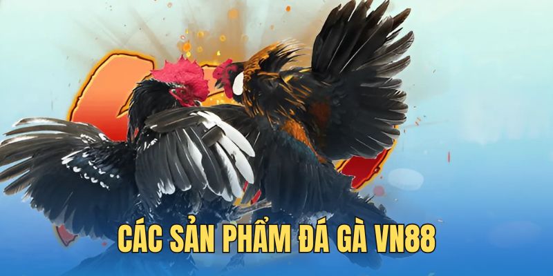 Tổng hợp các thể thức thi đấu kê VN88 cực cháy